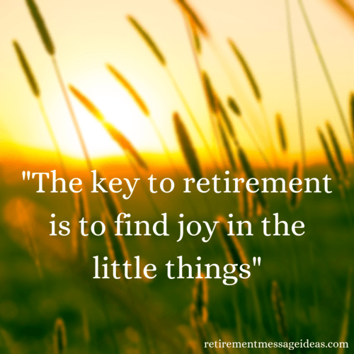 Find joy in little things retirement quote